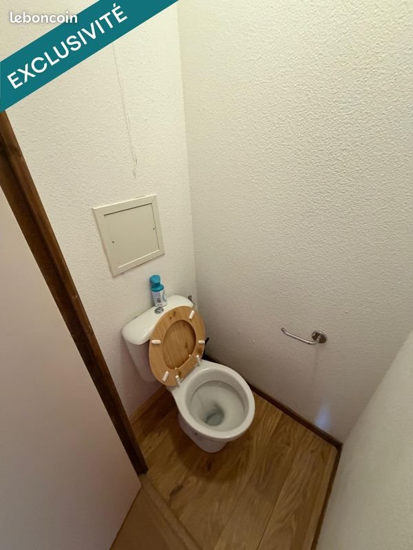 Appartement à vendre, 27m², Besse-et-Saint-Anastaise