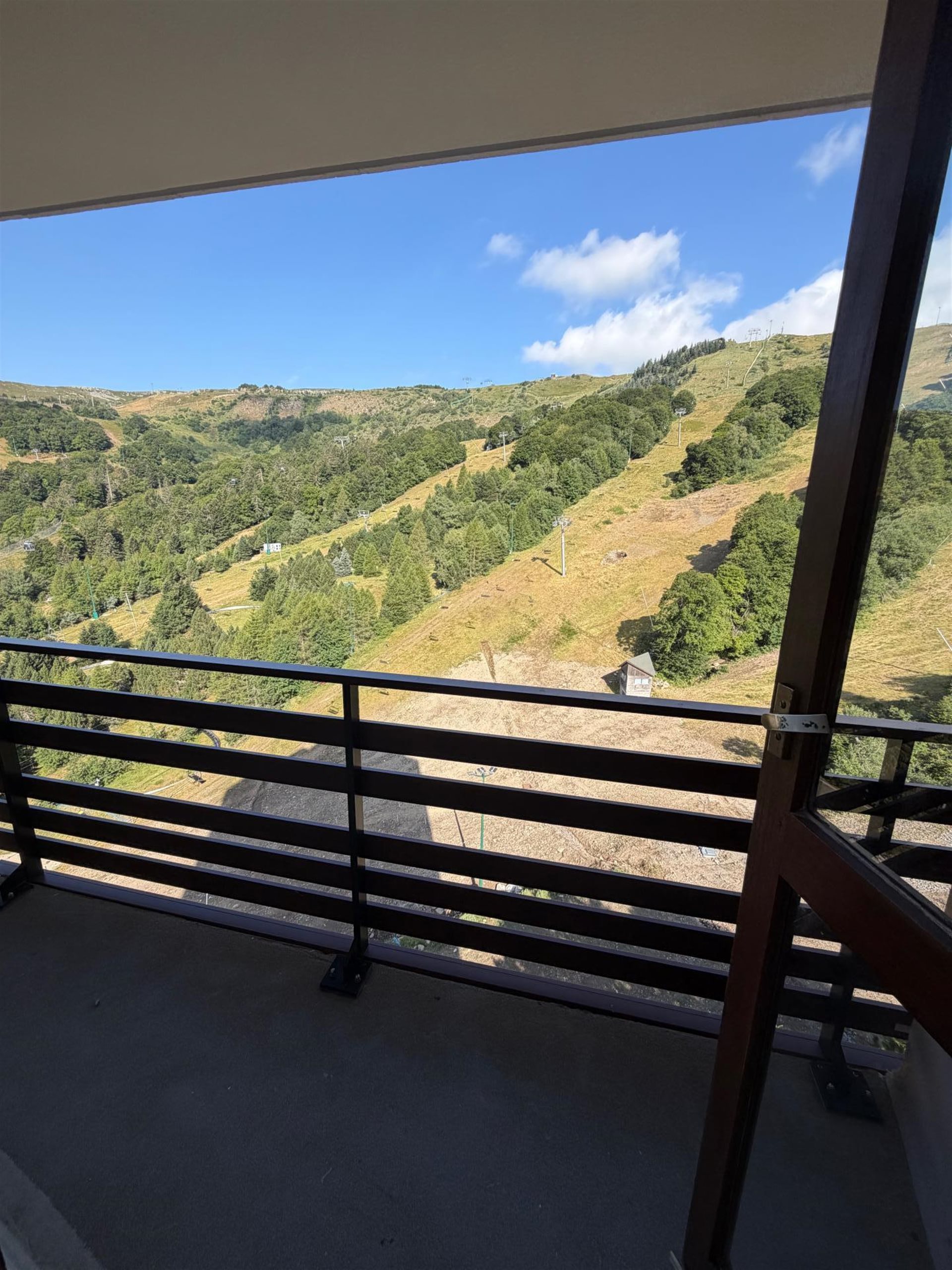 Appartement à vendre, 24m², Besse-et-Saint-Anastaise