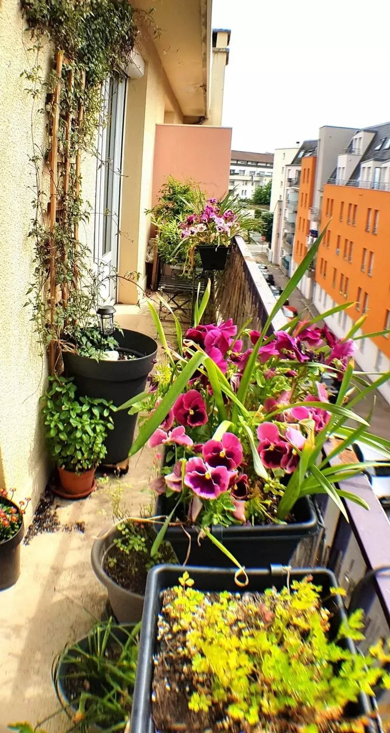 Appartement à vendre, 66m², Limoges
