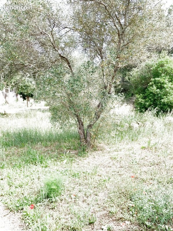 Appartement à vendre, 57m², Porto-Vecchio