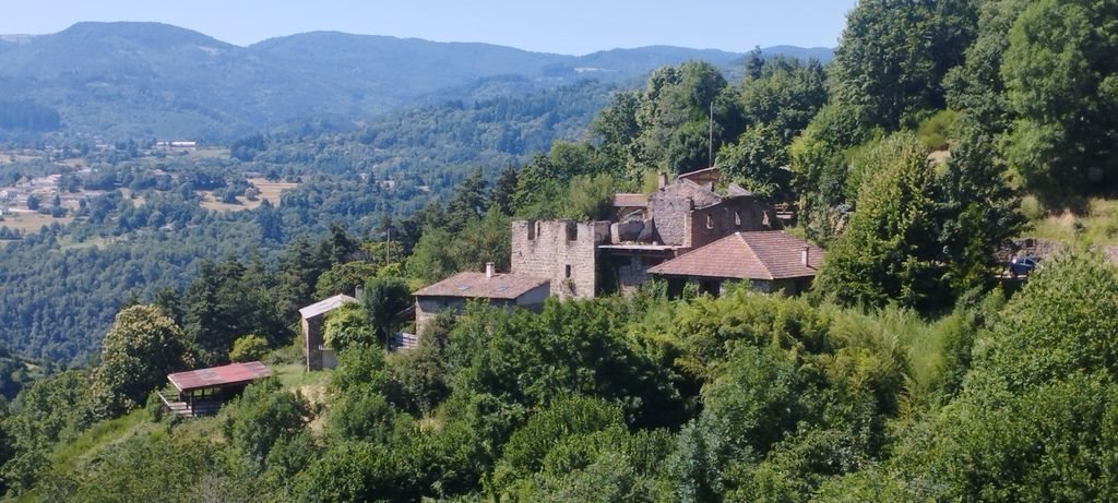 Maison à vendre, 445m², Le Cheylard