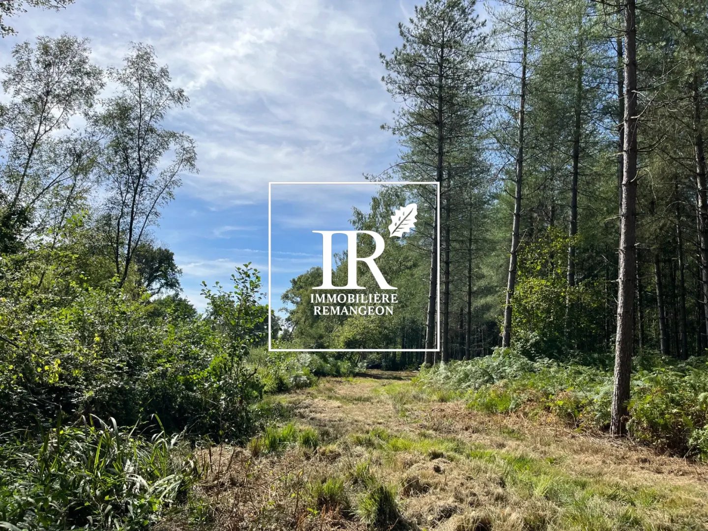 Maison à vendre, 377m², Lamotte-Beuvron