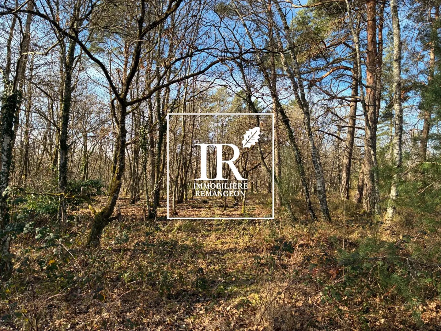 Maison à vendre, 377m², Lamotte-Beuvron