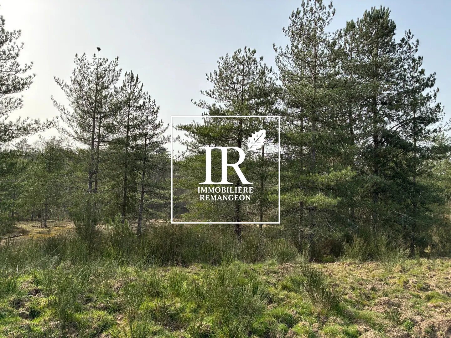 Maison à vendre, 230m², Lamotte-Beuvron
