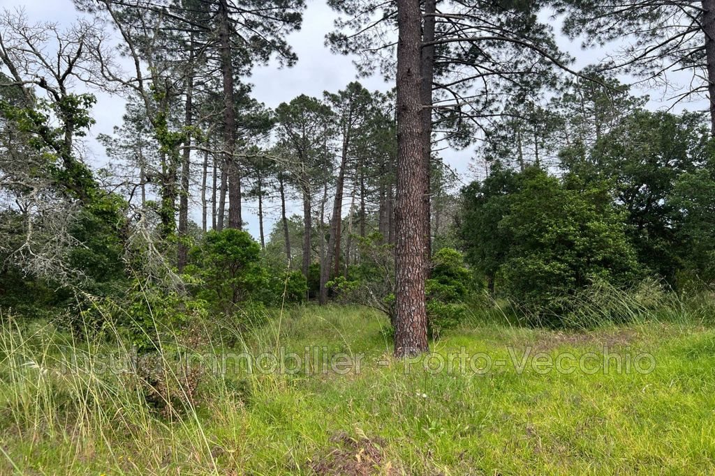 Maison à vendre, 136m², Porto-Vecchio
