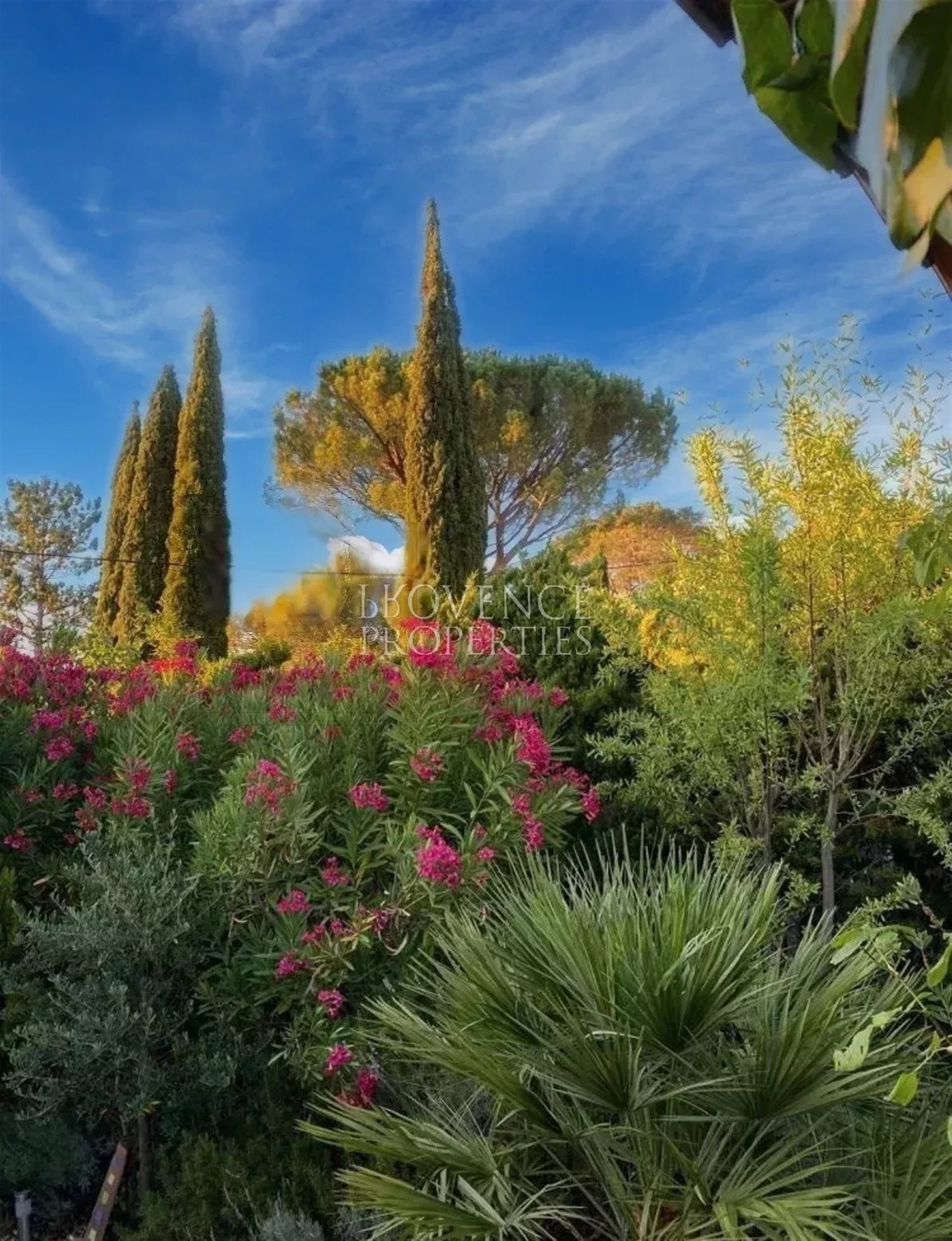 Maison à vendre, 100m², Saint-Antonin-du-Var