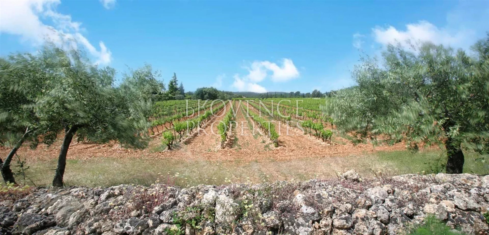 Maison à vendre, 270m², Cotignac