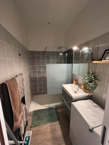 Appartement à louer, 30m², Villeurbanne