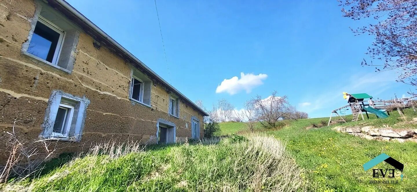 Maison à vendre, 380m², La Chapelle-de-Surieu