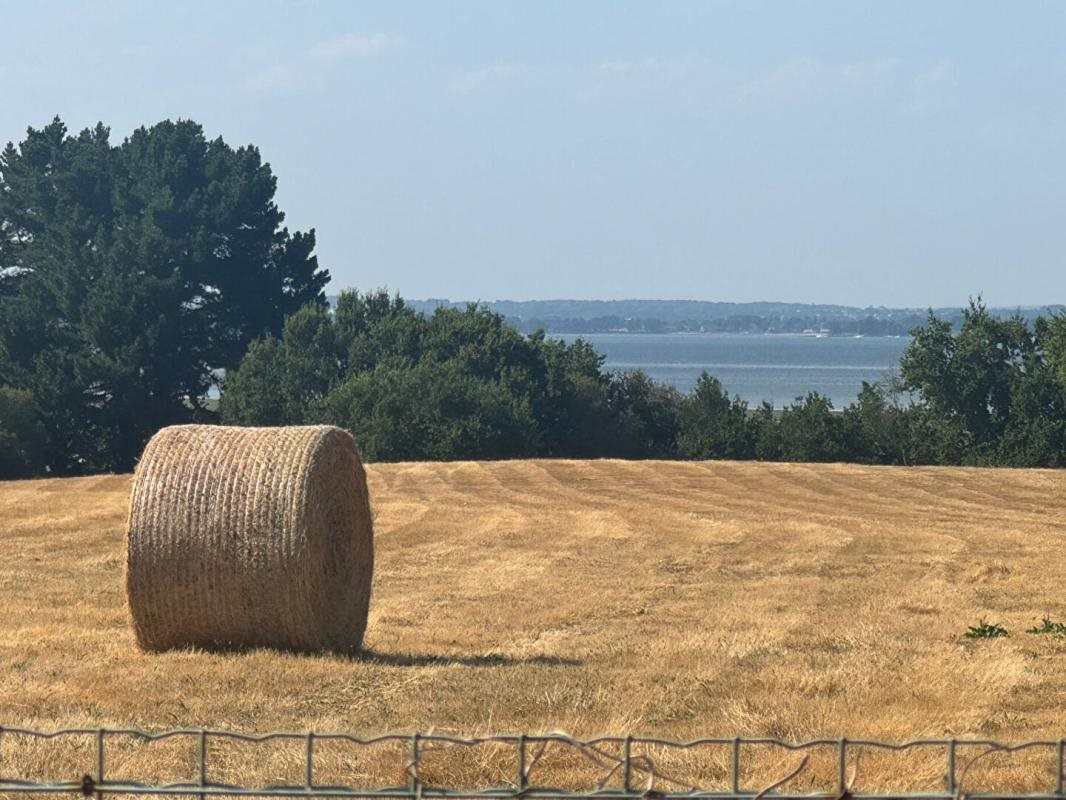 Maison à vendre, 110m², Sarzeau