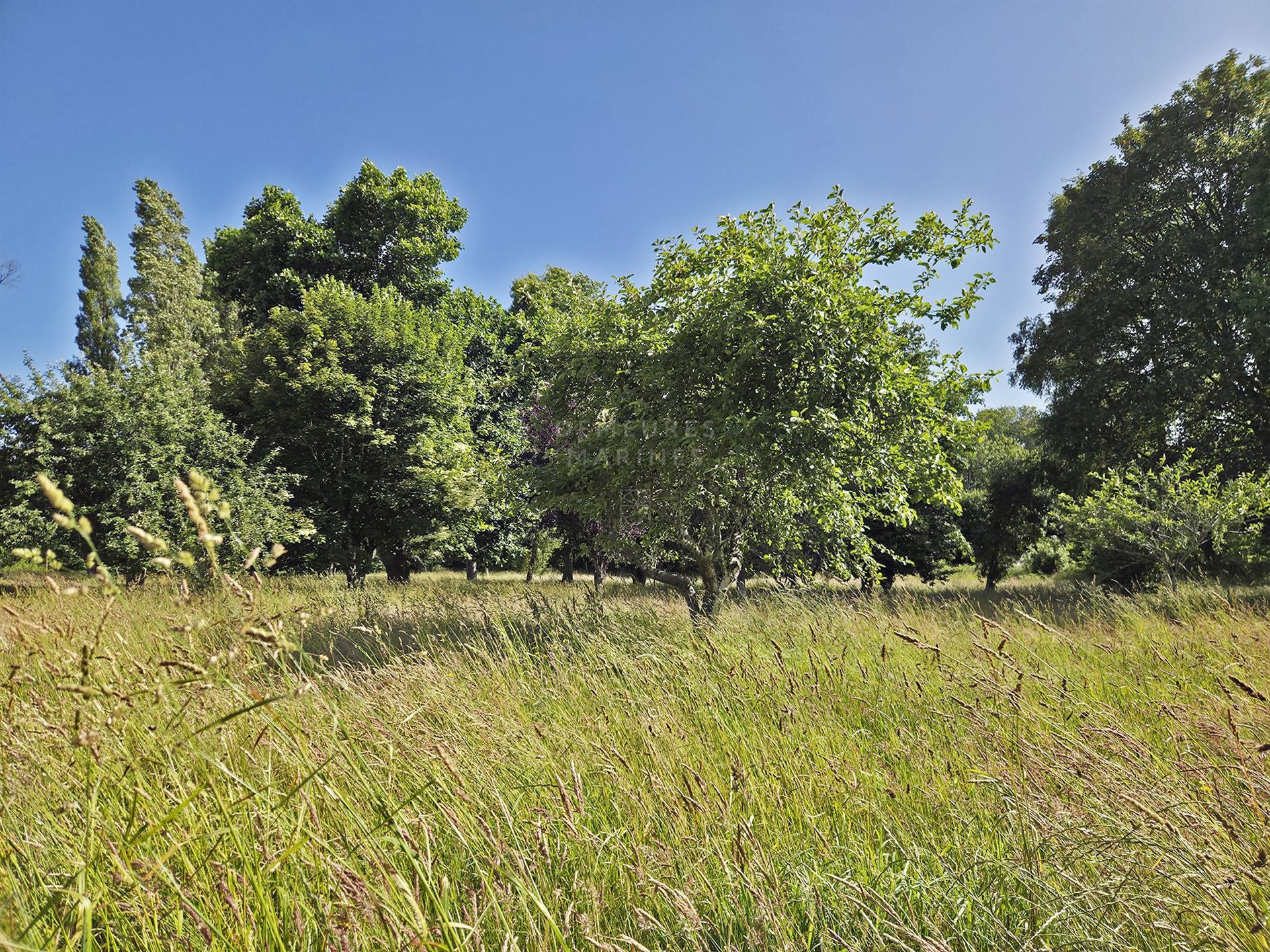 Maison à vendre, 153m², Melgven