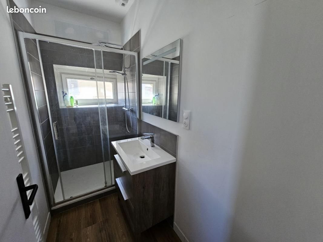 Appartement à louer, 47m², Fleurie