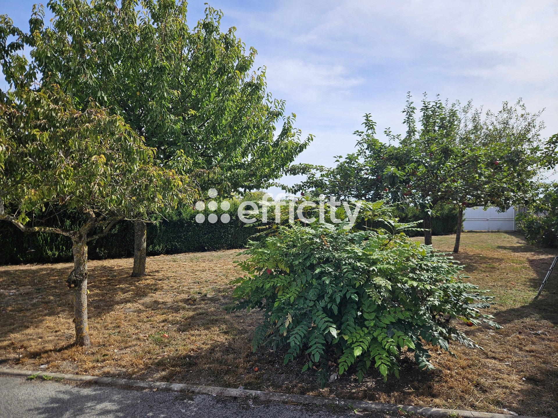 Maison à vendre, 125m², Bouzy