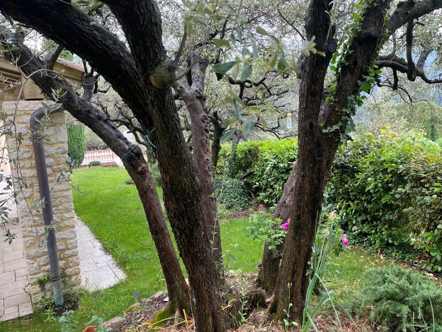 Maison à vendre, 240m², Nyons