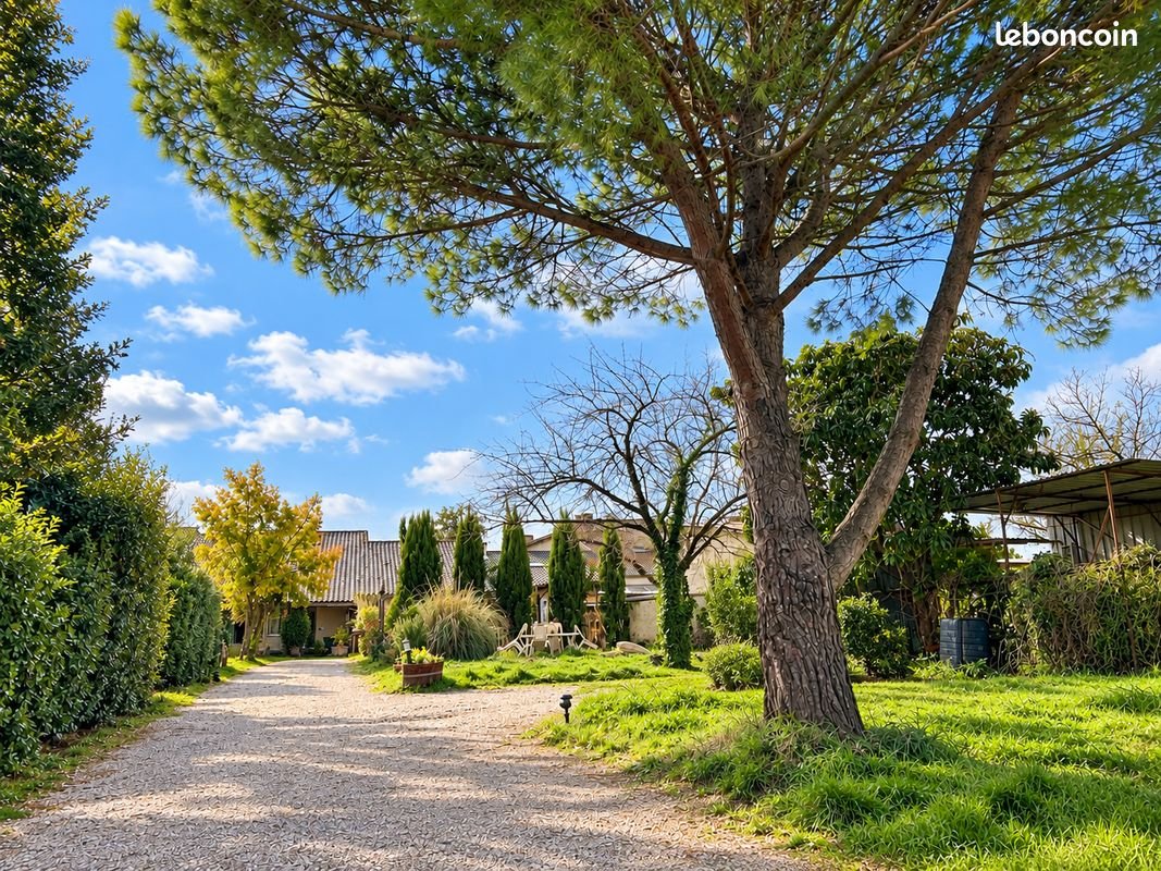 Maison à vendre, 387m², Langon