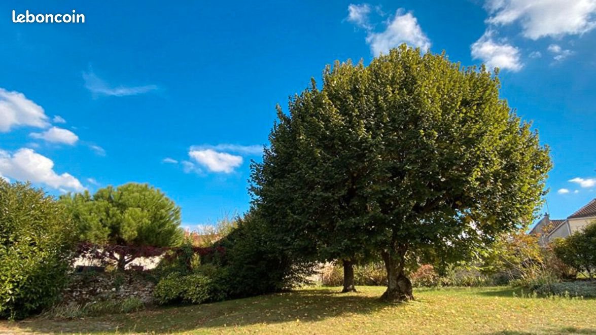 Maison à vendre, 350m², Mennecy