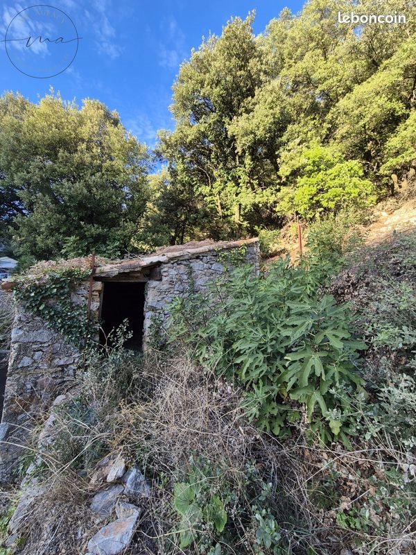 Maison à vendre, 11m², Cabrerolles