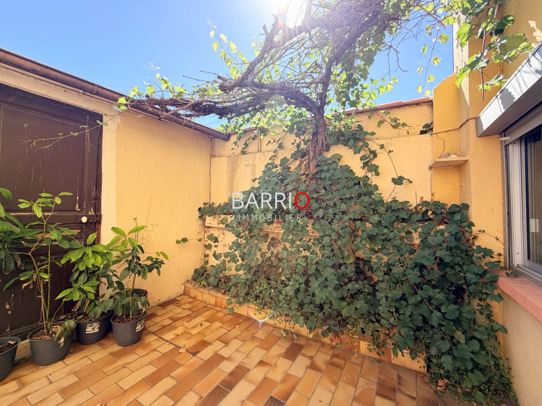 Maison à vendre, 358m², Argelès-sur-Mer