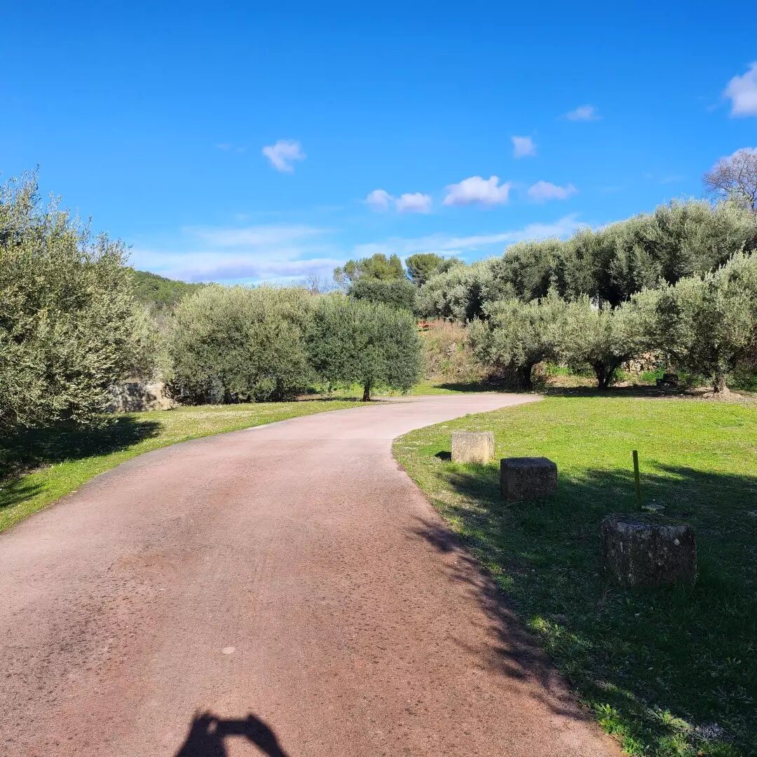 Maison à vendre, 239m², Saint-Maurice-de-Cazevieille
