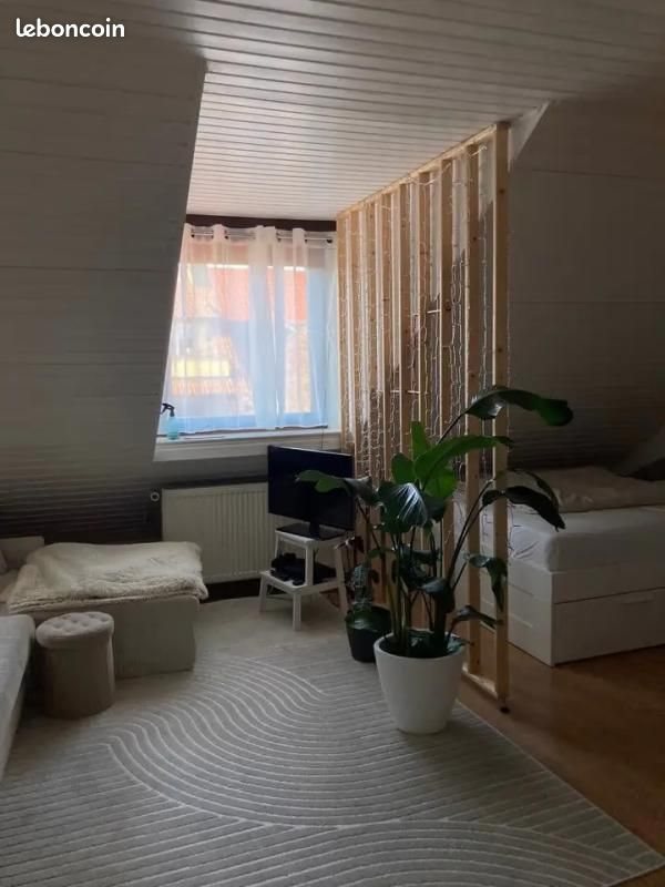 Appartement à louer, 20m², Lyon 7ème