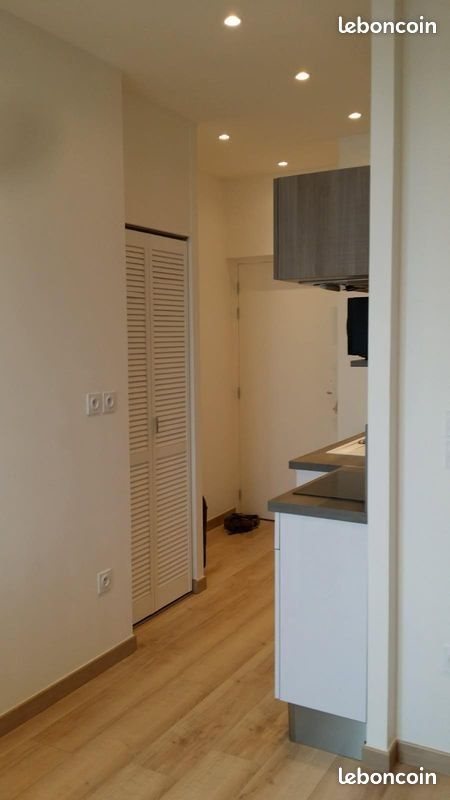 Appartement à louer, 17m², Lyon 7ème