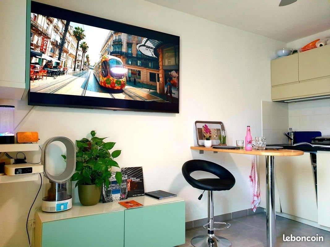 Appartement à louer, 17m², Castelnau-le-Lez