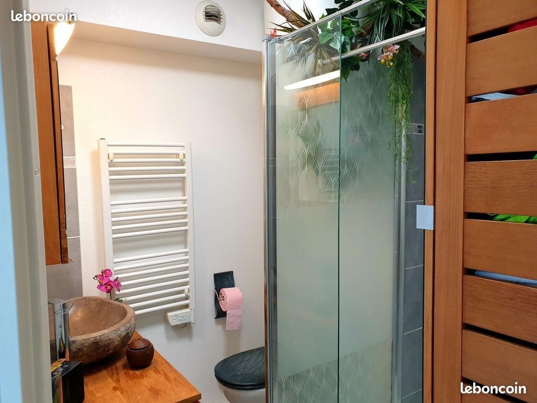 Appartement à louer, 17m², Castelnau-le-Lez