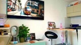 Appartement à louer, 17m², Castelnau-le-Lez