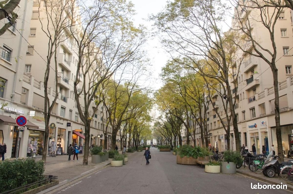 Appartement à louer, 28m², Villeurbanne