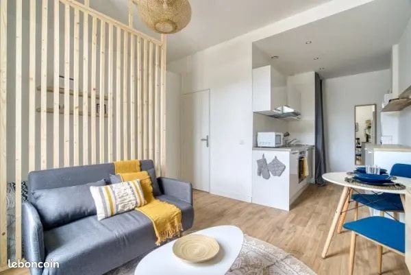 Appartement à louer, 24m², Villeurbanne