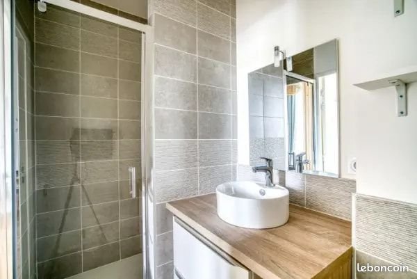 Appartement à louer, 24m², Villeurbanne