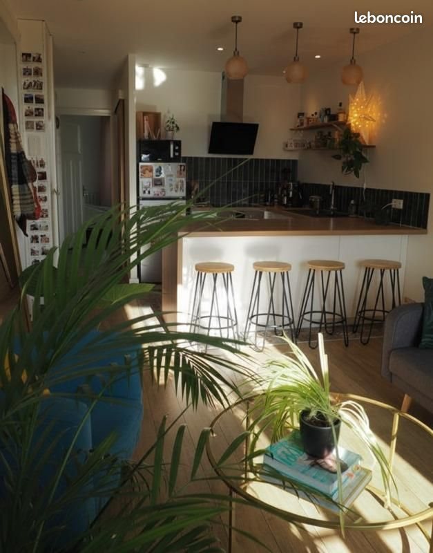Appartement à louer, 44m², Villeurbanne