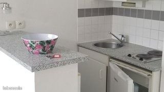 Appartement à louer, 28m², Blagnac