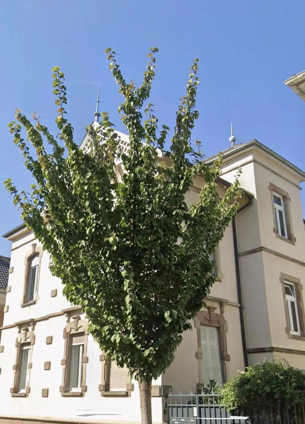 Appartement à vendre, 115m², Colmar