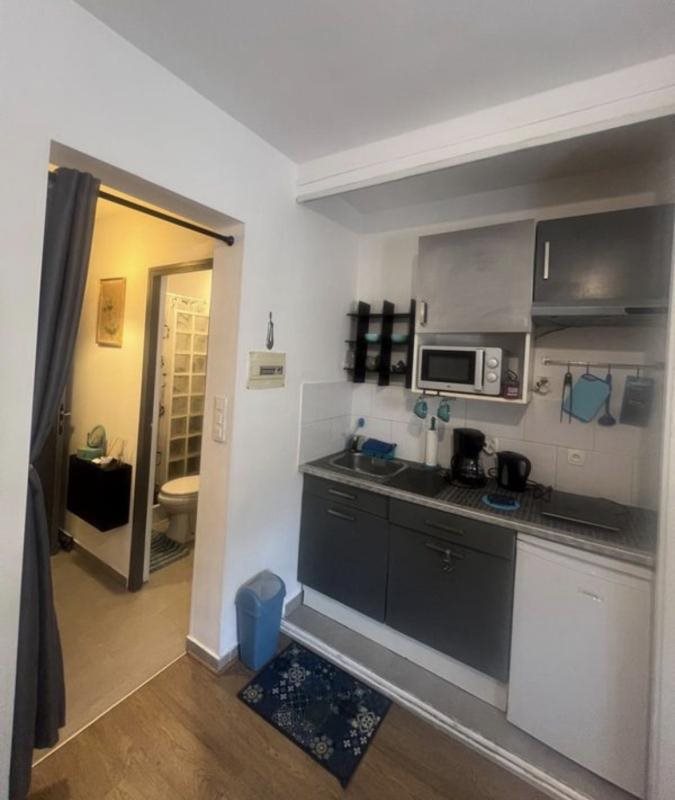 Appartement à louer, 19m², Montmorency