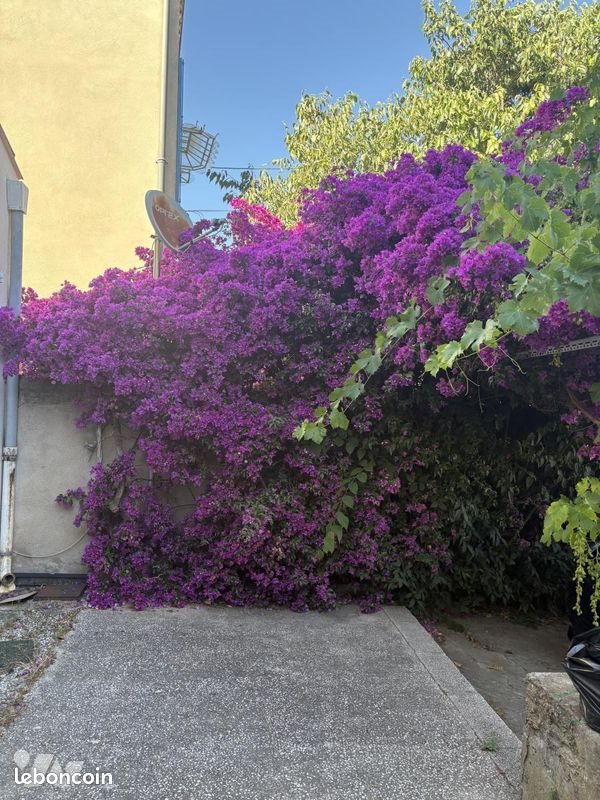 Maison à vendre, 109m², Toulon
