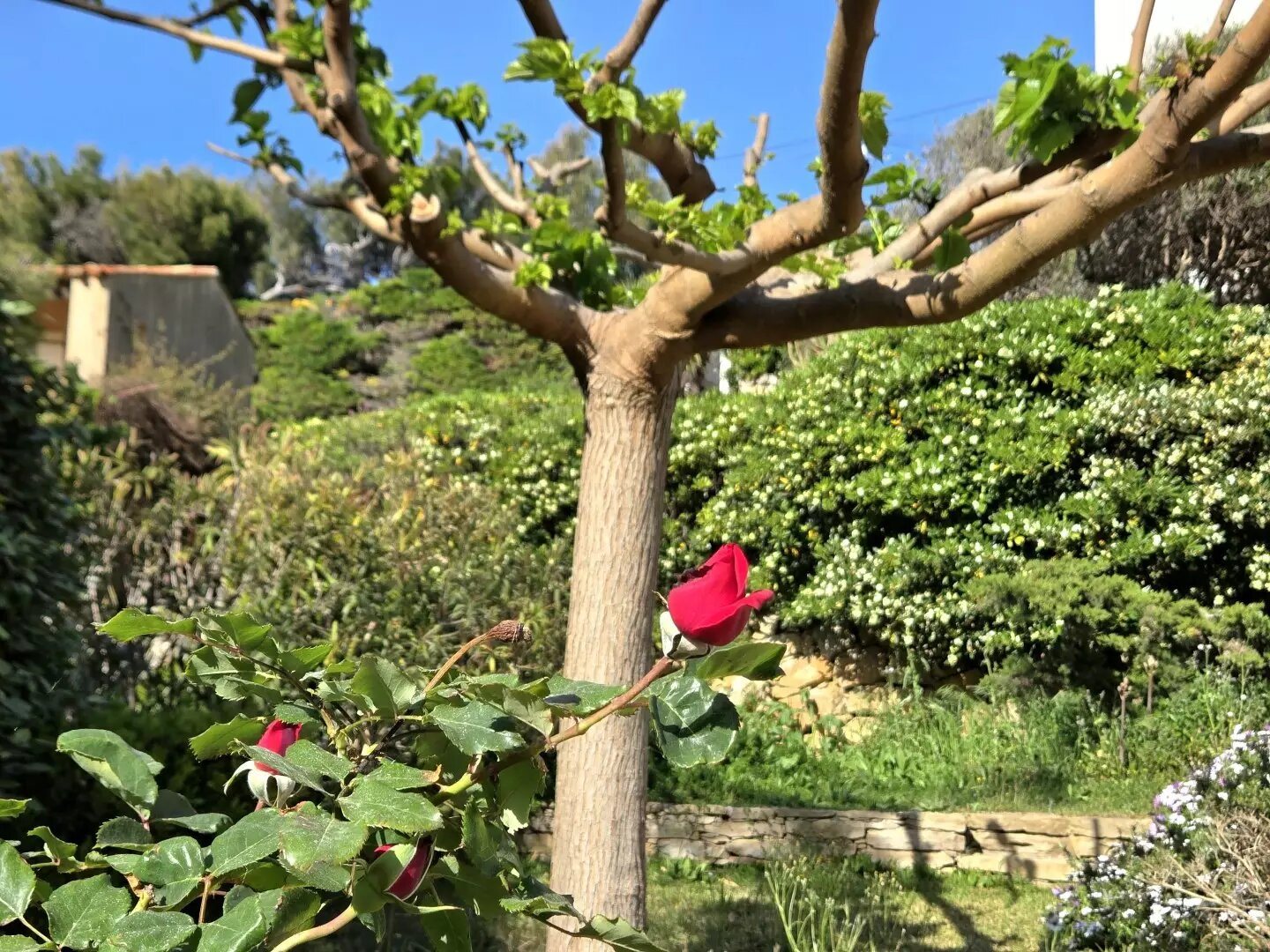 Appartement à vendre, 76m², Sanary-sur-Mer