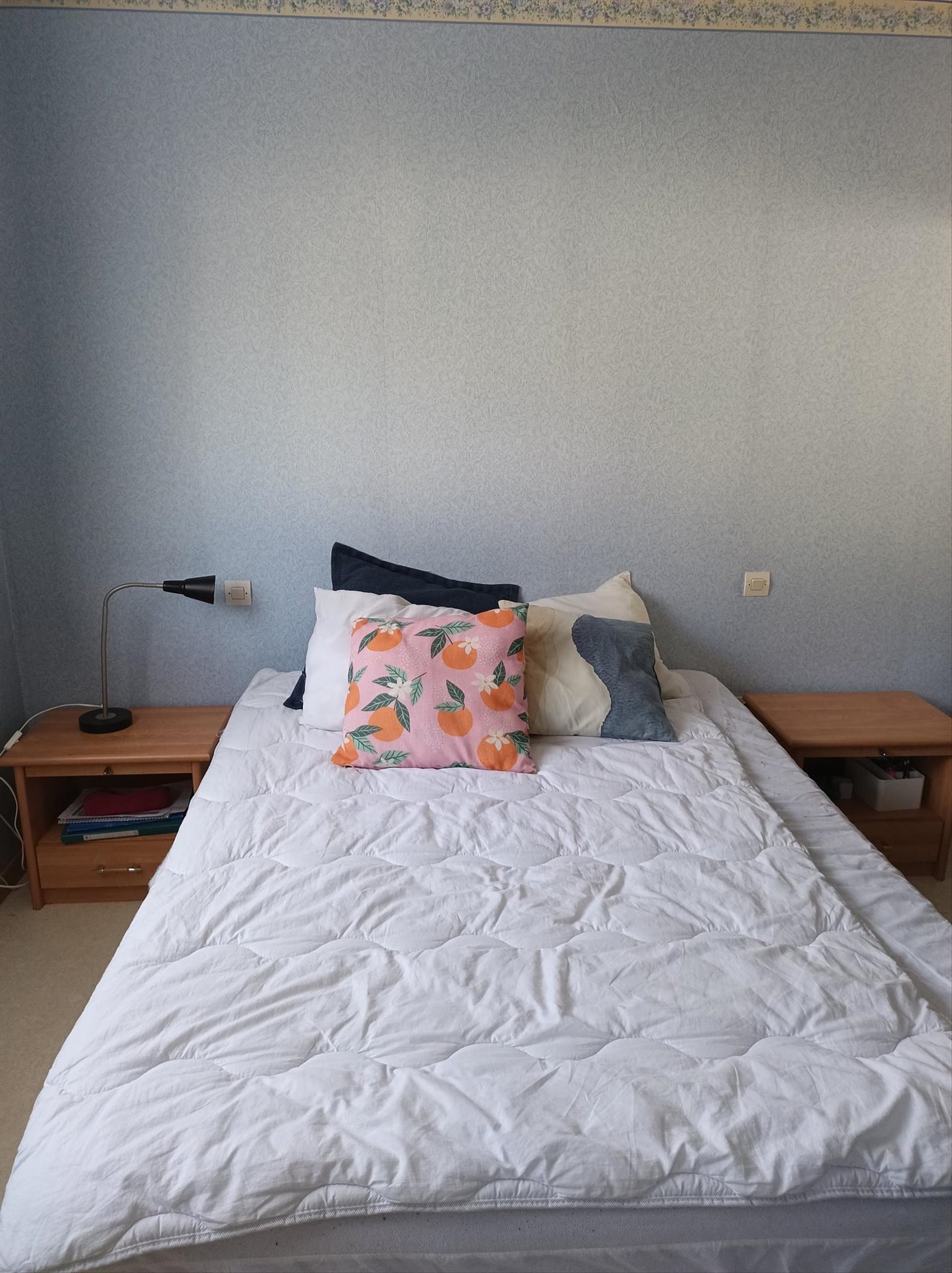 Appartement à vendre, 30m², Metz