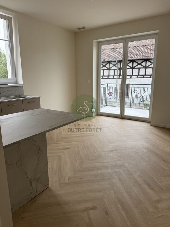 Appartement à vendre, 300m², Haguenau