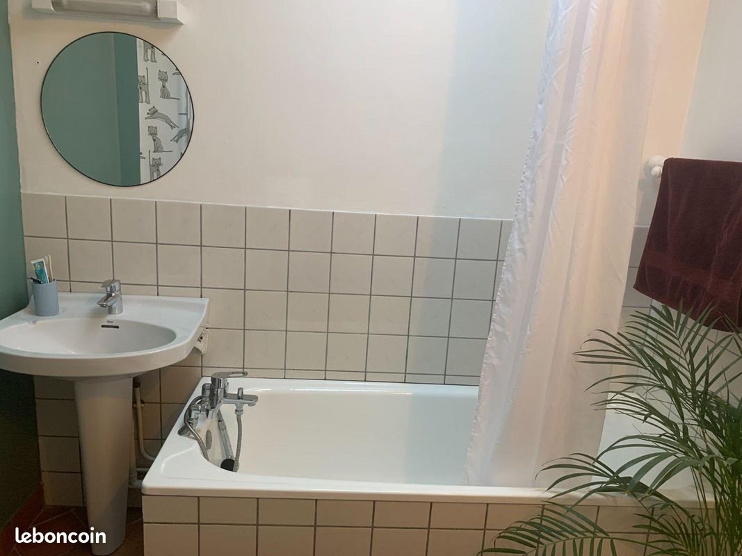 Appartement à louer, 19m², Bailleul