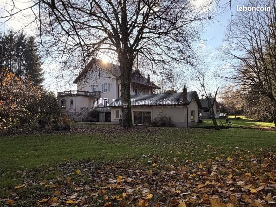 Maison à vendre, 375m², Montreux-Château