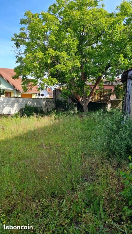 Maison à vendre, 130m², Oberhergheim