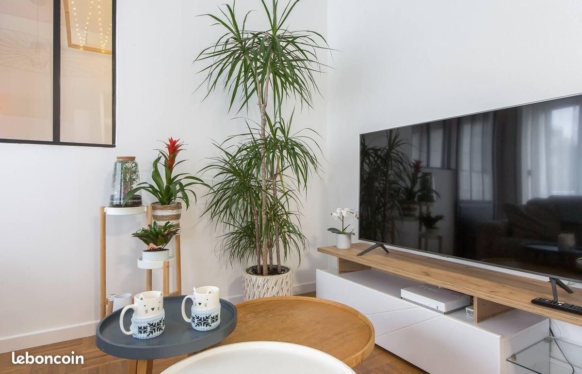 Appartement à louer, 42m², Villeurbanne