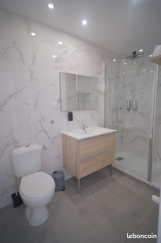 Appartement à louer, 36m², Villeurbanne