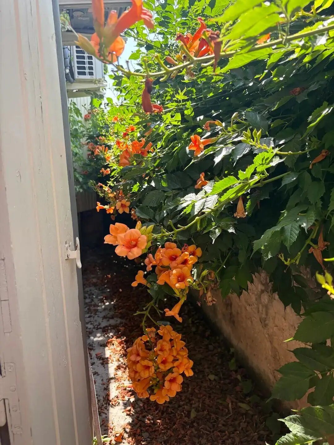 Appartement à vendre, 65m², Monteux