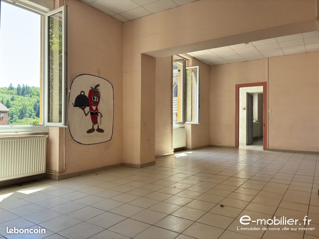 Maison à vendre, 370m², Saint-Alban-les-Eaux