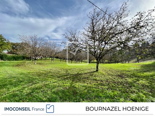 Terrain, terrain 2000 m² — Terrasson-Lavilledieu (Dordogne) · 55 000 €