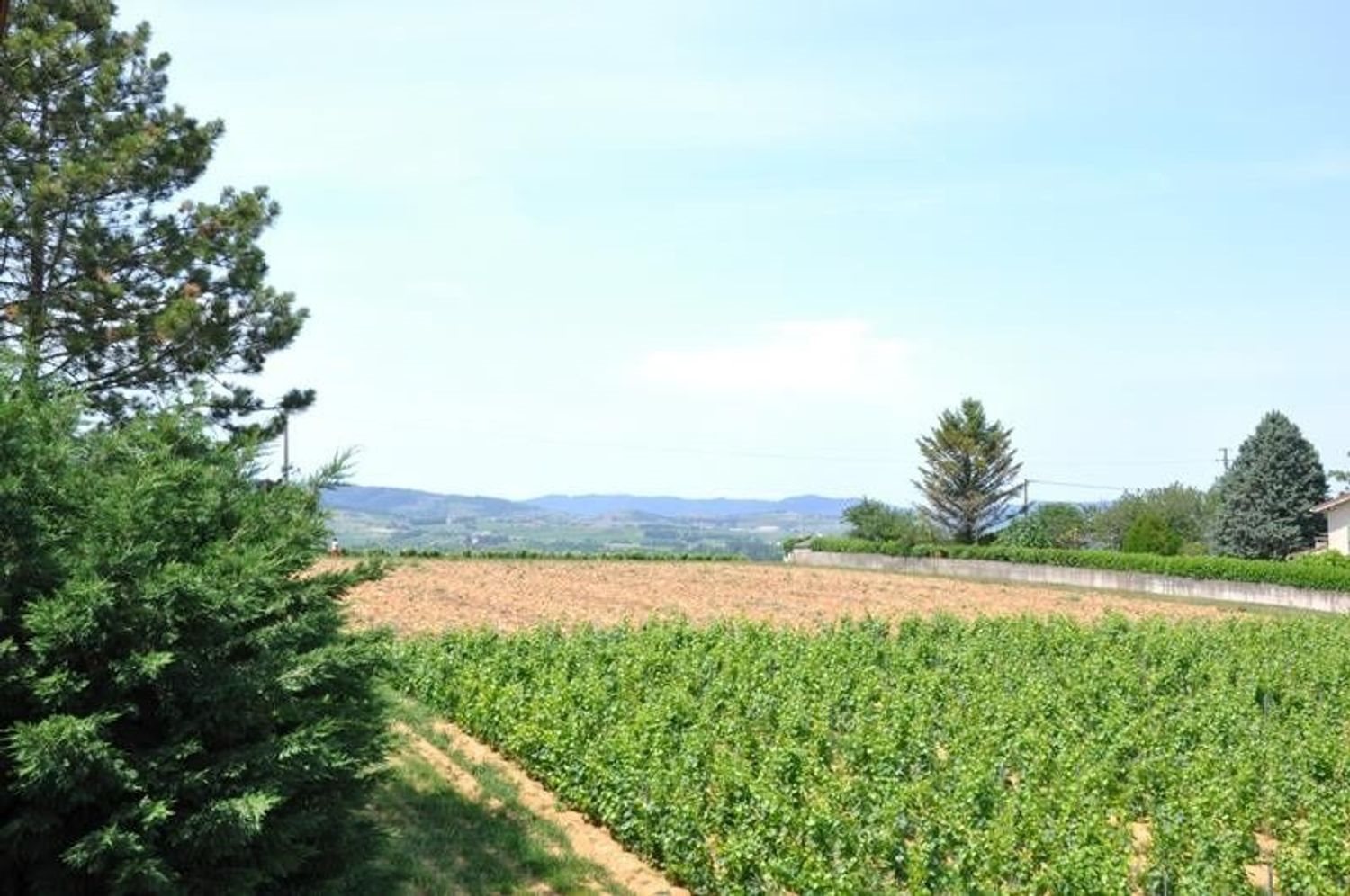 Maison à vendre, 220m², Gleizé