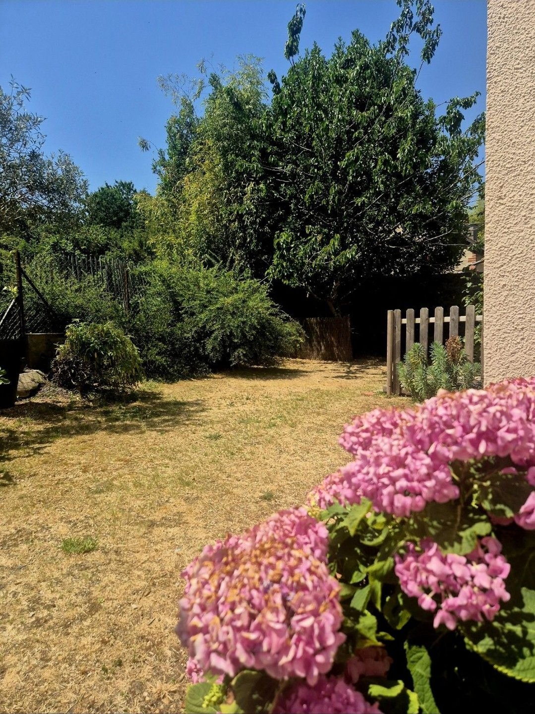 Maison à vendre, 219m², Segré
