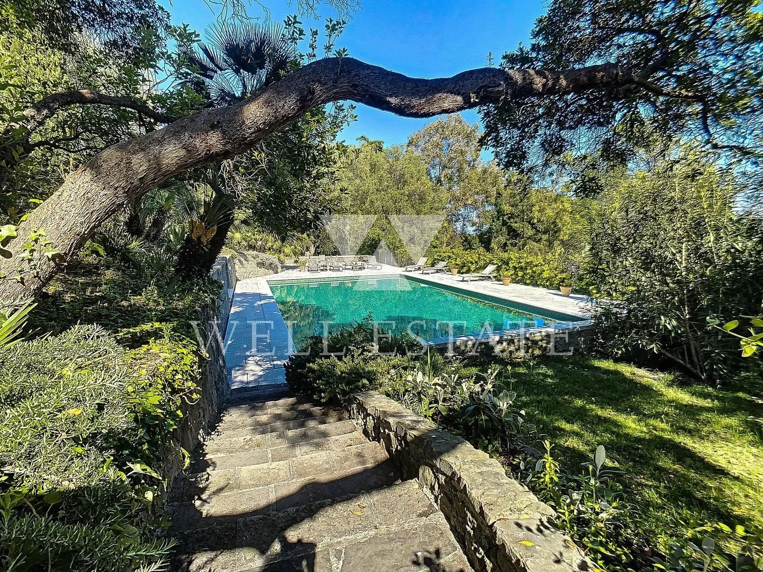 Maison à louer, 400m², Cannes